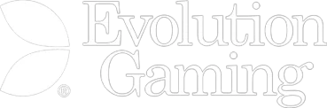 Provedor de Evolução
